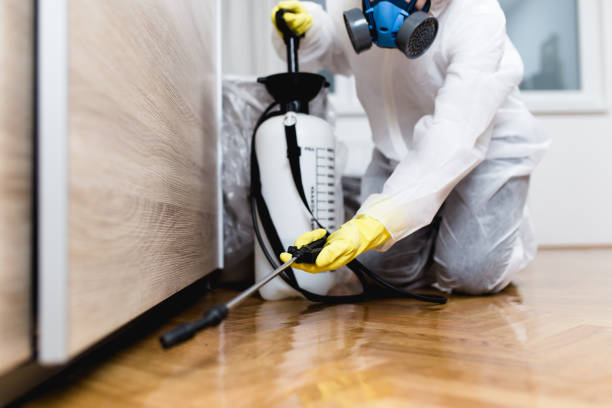 Best Affordable Pest Control Services  in Sparta, GA