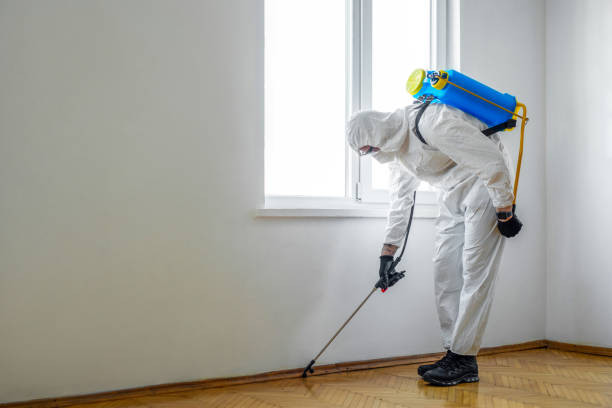 Best Best Pest Control Companies  in Sparta, GA