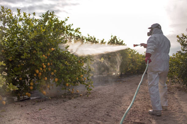 Best Ant Control Services  in Sparta, GA