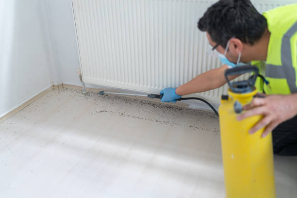 Best Residential Pest Control  in Sparta, GA