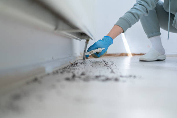 Best Exterminator Services  in Sparta, GA